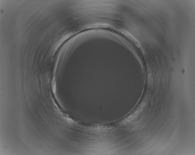 X0000077370945200611031908