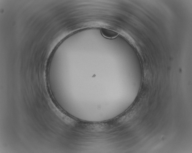 X0000077370947200611031908