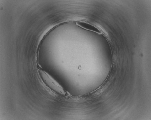 X0000077370948200611031908