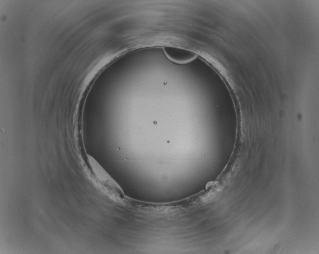 X0000077370949200611031908