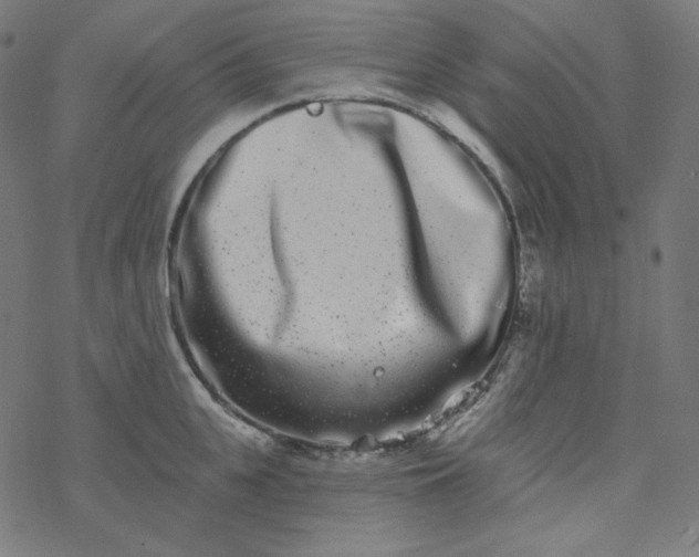 X0000077370951200611031908