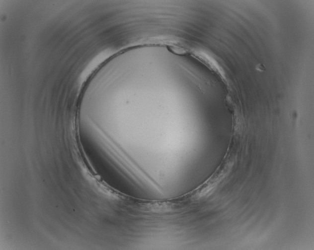 X0000077370952200611031908