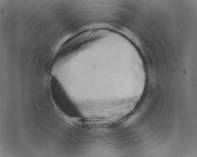 X0000077370953200611031908