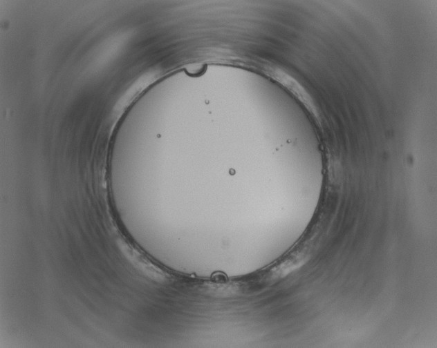 X0000077370954200611031908