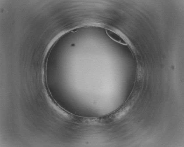 X0000077370955200611031908