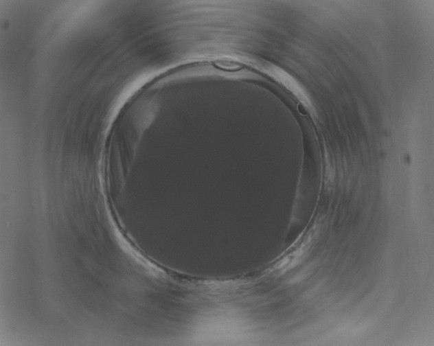 X0000077370958200611031908