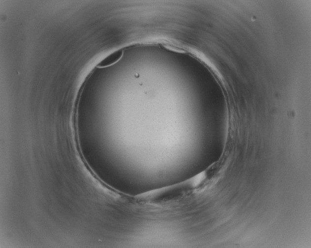 X0000077370959200611031908