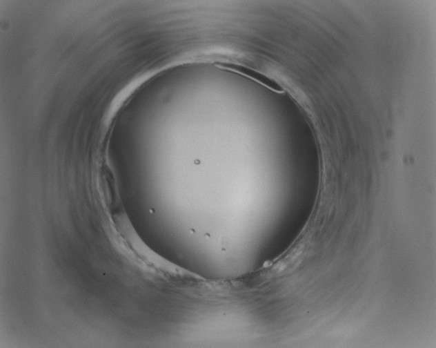 X0000077370960200611031908