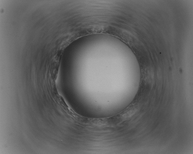 X0000077370962200611031907