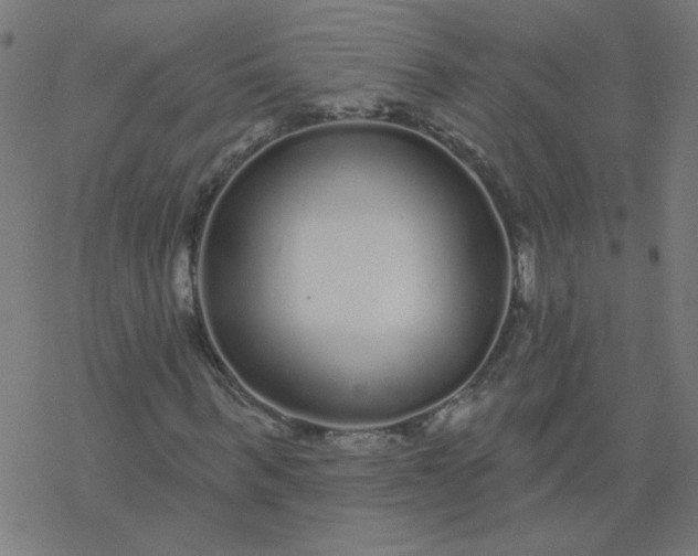 X0000077370963200611031907