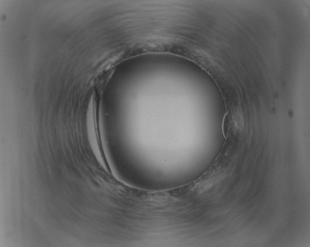 X0000077370964200611031907