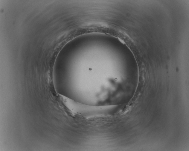 X0000077370965200611031907