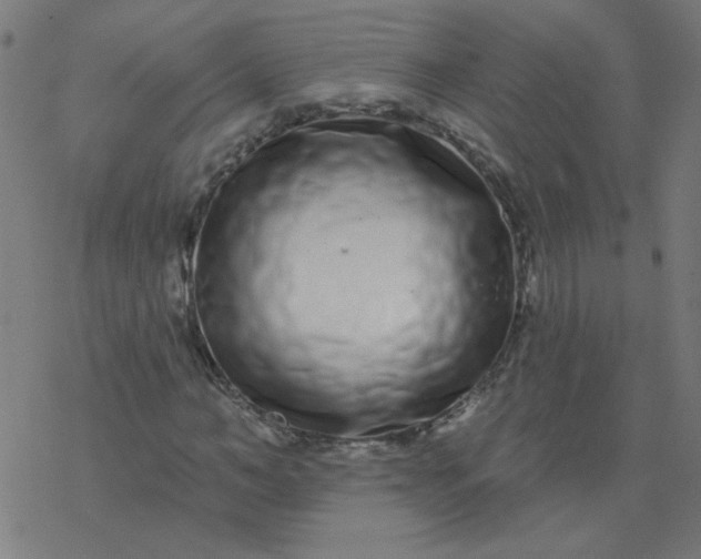 X0000077370966200611031907