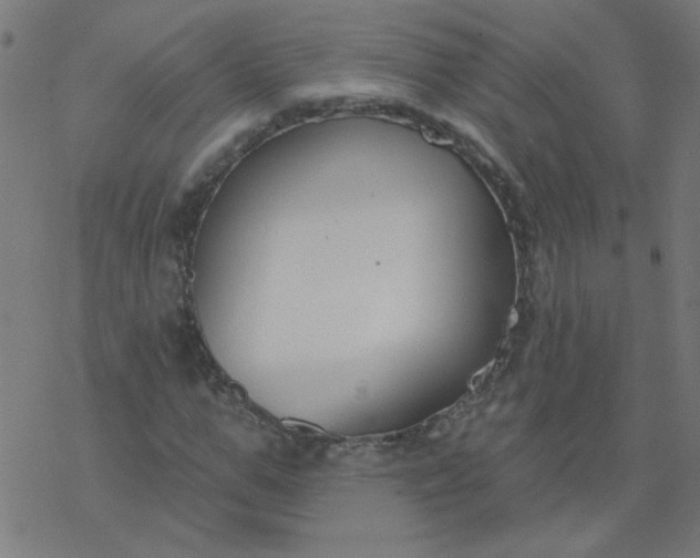 X0000077370967200611031907