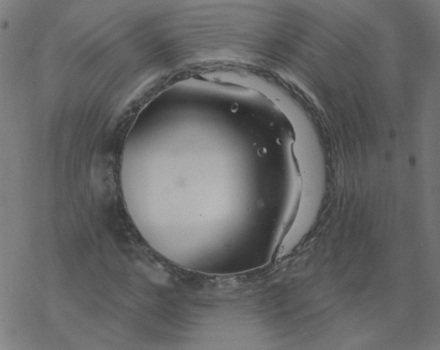 X0000077370968200611031907