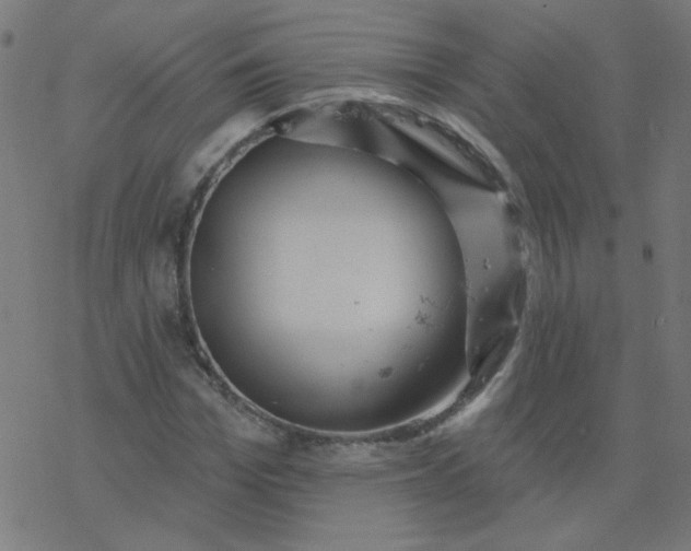 X0000077370969200611031907