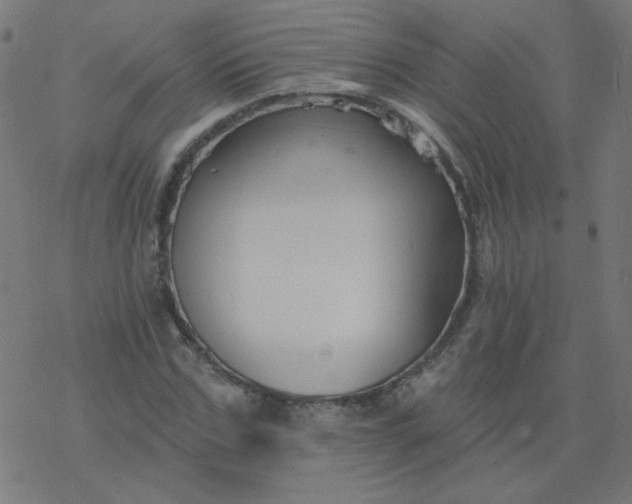 X0000077370971200611031907