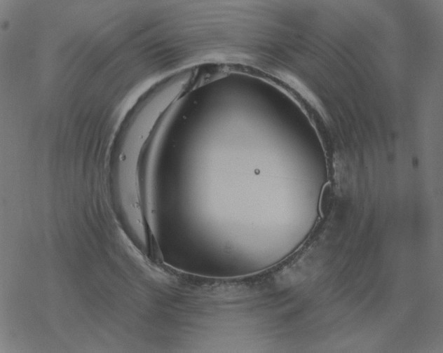 X0000077370972200611031907