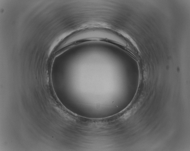 X0000077370973200611031907