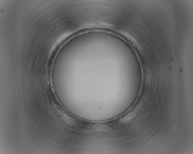 X0000077370974200611031907