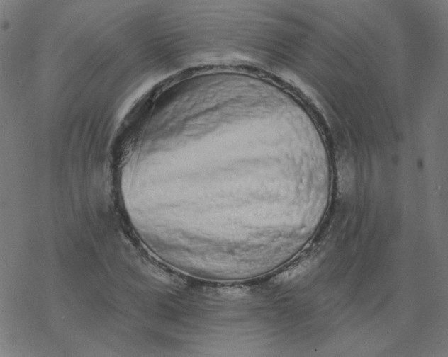 X0000077370975200611031907