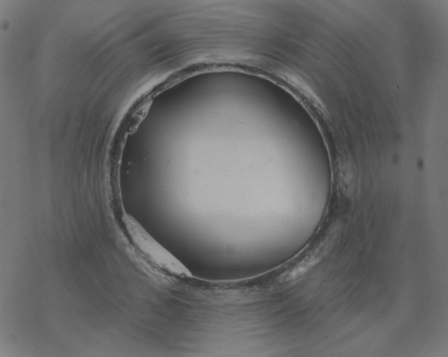 X0000077370976200611031907