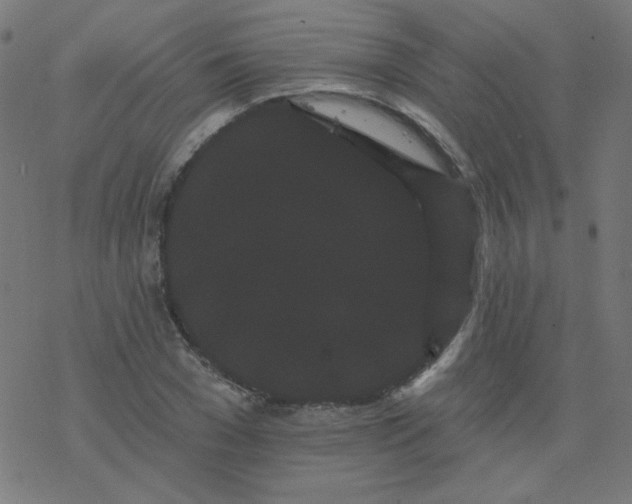 X0000077370977200611031907