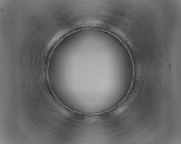 X0000077370978200611031907