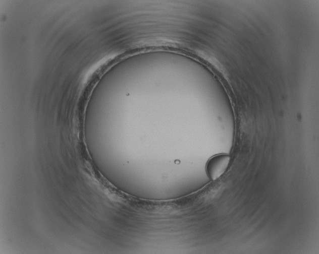 X0000077370979200611031907