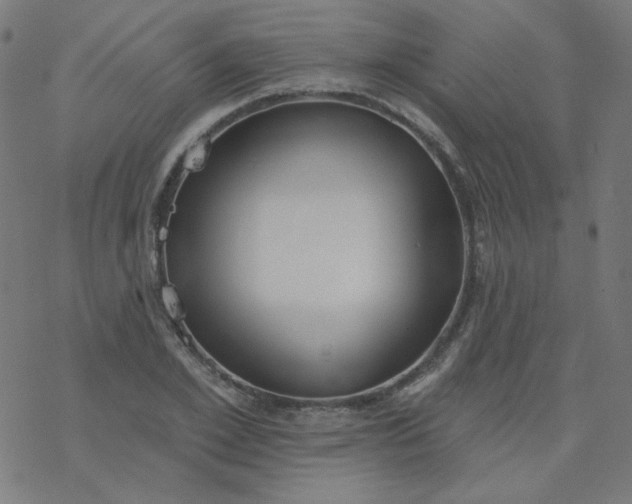 X0000077370981200611031907