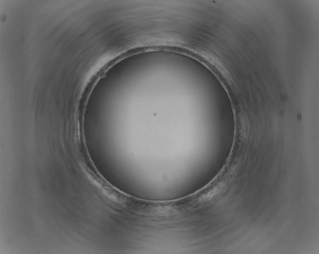 X0000077370982200611031907