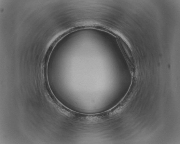 X0000077370983200611031907