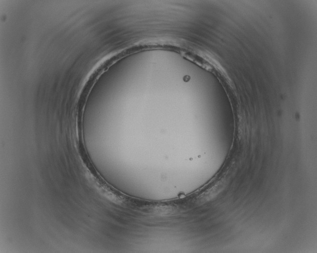 X0000077370984200611031907