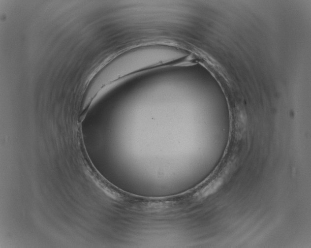 X0000077370985200611031907