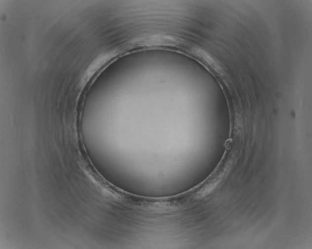 X0000077370986200611031907