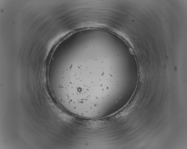 X0000077370987200611031907