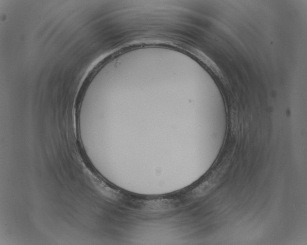 X0000077370988200611031907