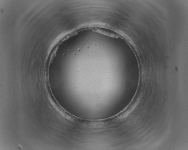 X0000077370989200611031907