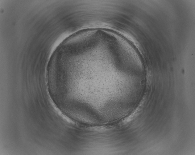 X0000077370990200611031907