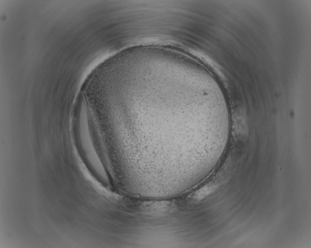 X0000077370991200611031907