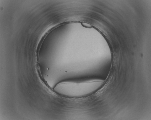 X0000077370992200611031907