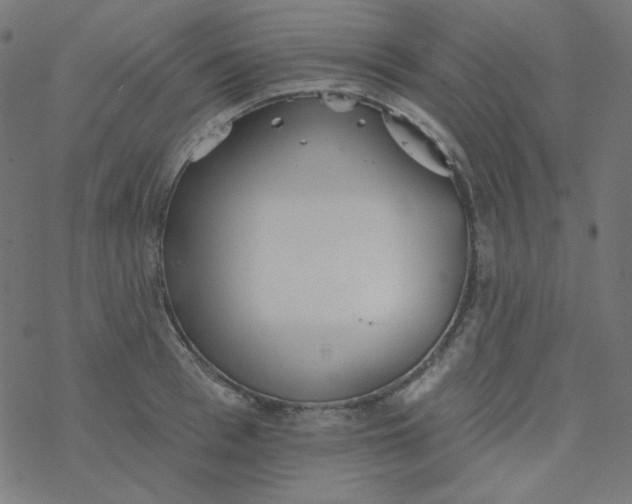 X0000077370993200611031907