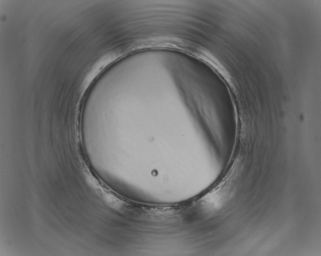 X0000077370994200611031907