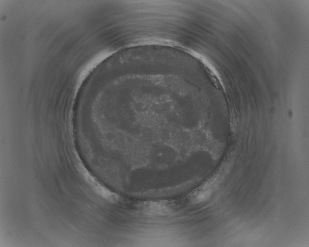 X0000077370995200611031907