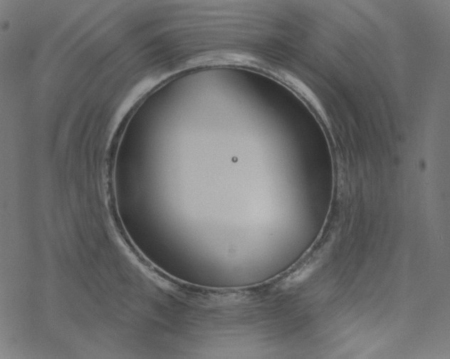 X0000077370997200611031907