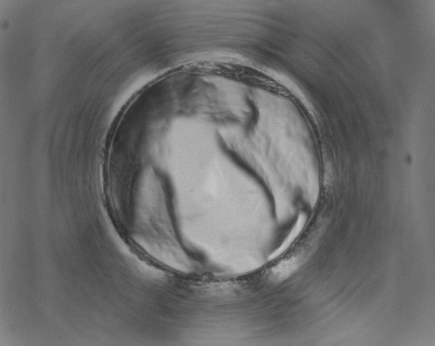 X0000077370999200611031906