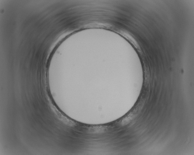 X0000077371000200611031906