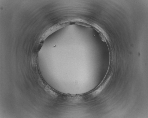 X0000077371001200611031906