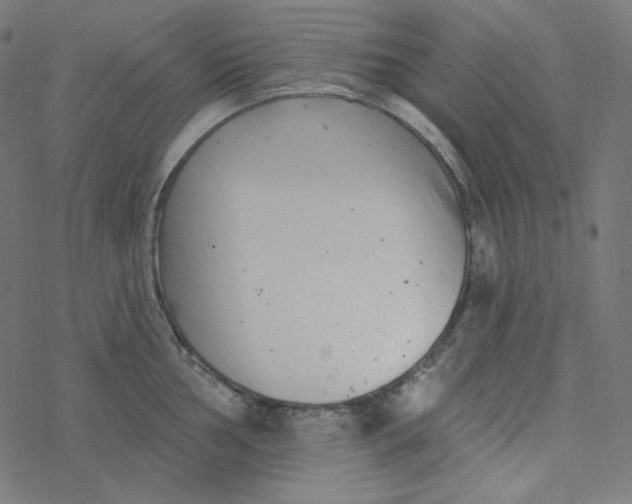 X0000077371002200611031906