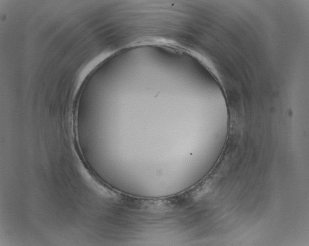 X0000077371003200611031906